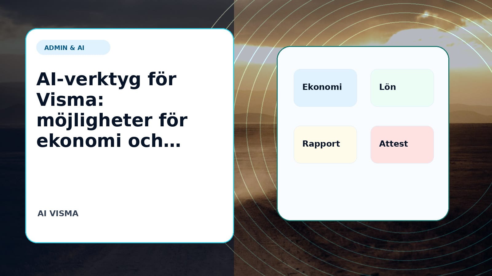 AI-verktyg för Visma: möjligheter för ekonomi och admin